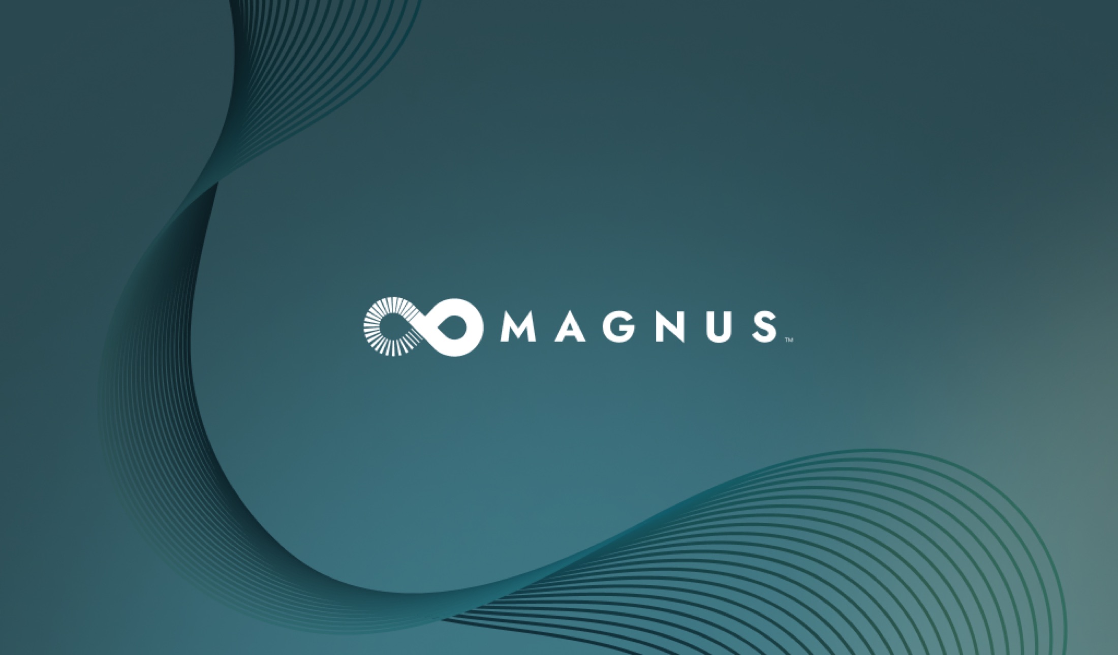 Magnus stimulator start-up screen